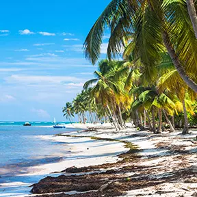 Доминикана Веб-камеры