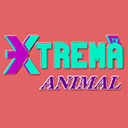 Смотреть эфир Xtrema TV - Animal